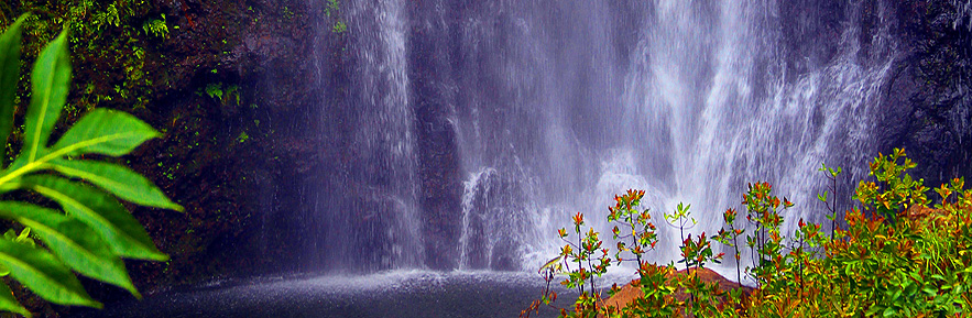 Waterfall - Wailua Falls Maui